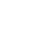 원