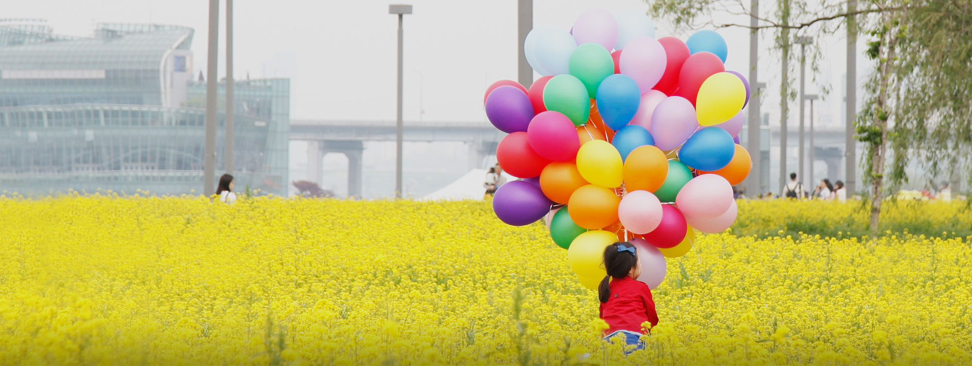 2018 한강유채꽃축제